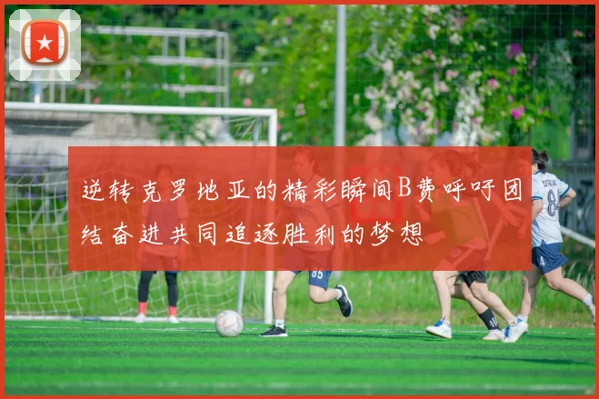逆转克罗地亚的精彩瞬间B费呼吁团结奋进共同追逐胜利的梦想