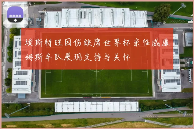 埃斯特旺因伤缺席世界杯亲临威廉姆斯车队展现支持与关怀